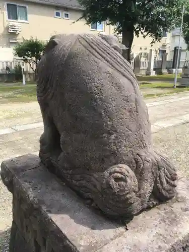 五井若宮八幡神社の狛犬