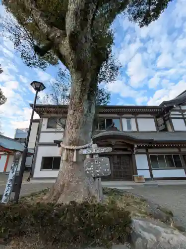 宮崎八幡宮の{uncategorized: "未分類", other: "その他", undefined: "問題あり", building: "その他建物", grave: "お墓", sacred_gate: "鳥居", guardian: "狛犬", statue: "像", buddha: "仏像", history: "歴史", nature: "自然", garden: "庭園", animal: "動物", pagoda: "塔", temizu: "手水舎", mountain_gate: "山門・神門", sanctuary: "本殿・本堂", subordinate: "末社・摂社", art: "芸術", scenery: "景色", jizo: "地蔵", ema: "絵馬", goshuin: "御朱印", omikuji: "おみくじ", items: "授与品その他", amulet: "お守り", goshuincho: "御朱印帳", eats: "食事", festival: "お祭り", votive_dance: "神楽", shichigosan: "七五三参", wedding: "結婚式", experience: "体験その他", initially: "初詣", around: "周辺", anti_infection: "感染症対策"}