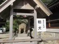 丹後一ノ宮 元伊勢 籠神社の狛犬