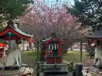 冠稲荷神社の{uncategorized: "未分類", other: "その他", undefined: "問題あり", building: "その他建物", grave: "お墓", sacred_gate: "鳥居", guardian: "狛犬", statue: "像", buddha: "仏像", history: "歴史", nature: "自然", garden: "庭園", animal: "動物", pagoda: "塔", temizu: "手水舎", mountain_gate: "山門・神門", sanctuary: "本殿・本堂", subordinate: "末社・摂社", art: "芸術", scenery: "景色", jizo: "地蔵", ema: "絵馬", goshuin: "御朱印", omikuji: "おみくじ", items: "授与品その他", amulet: "お守り", goshuincho: "御朱印帳", eats: "食事", festival: "お祭り", votive_dance: "神楽", shichigosan: "七五三参", wedding: "結婚式", experience: "体験その他", initially: "初詣", around: "周辺", anti_infection: "感染症対策"}