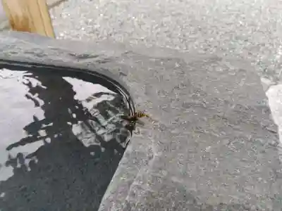 出雲大社飛騨教会(岐阜県)