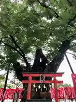 秩父今宮神社(埼玉県)