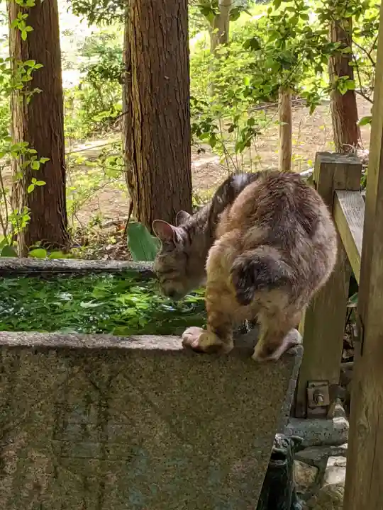 玉野御嶽神社の動物