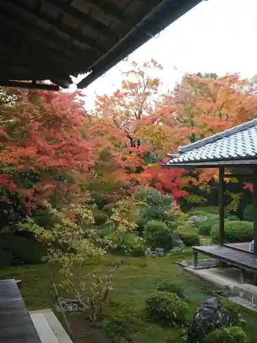 源光庵の庭園