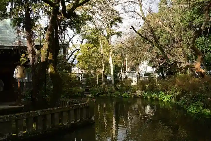 三嶋大社(静岡県)