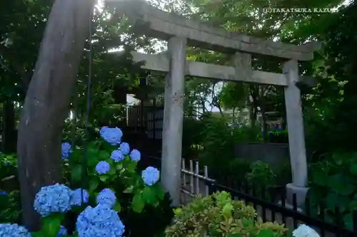白山神社の鳥居
