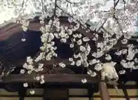 龍光寺(東京都)