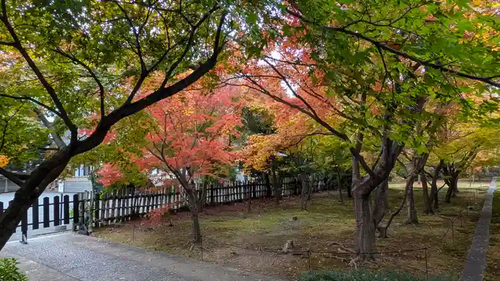 興聖寺(京都府)