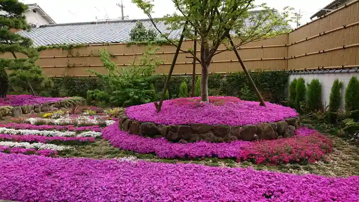寿量山 速成寺の庭園