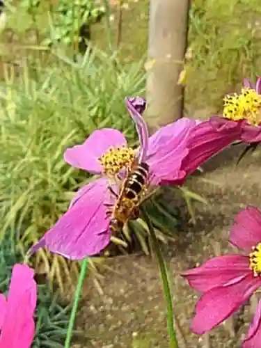 上野東照宮の庭園