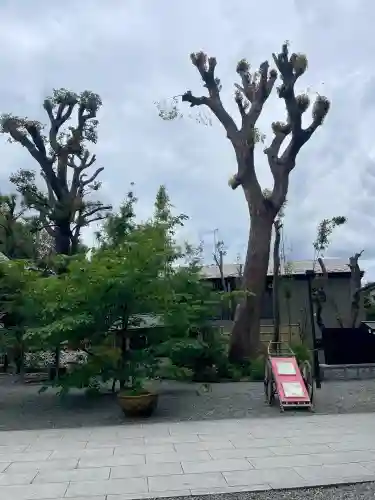阿佐ヶ谷神明宮(東京都)