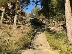 山神社の自然