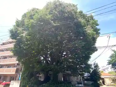 小野神社(東京都)