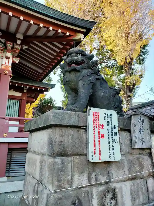 諏訪神社の狛犬