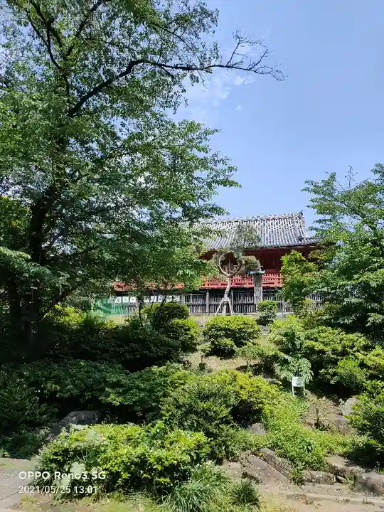 清水観音堂の庭園