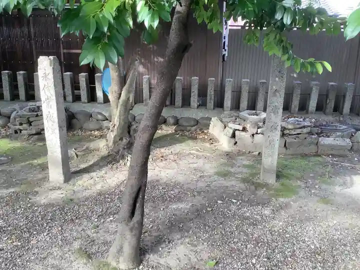 神明社(露橋神明社)の自然