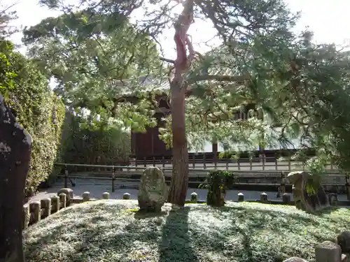 平等院の庭園