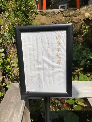 横浜御嶽神社の歴史