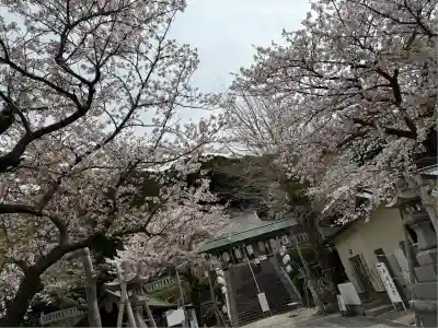 大津諏訪神社(神奈川県)
