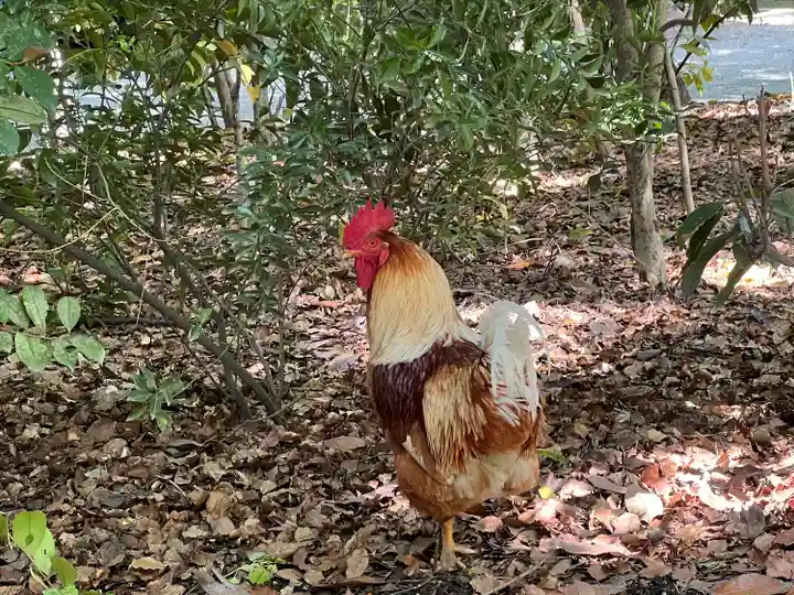 熱田神宮(愛知県)