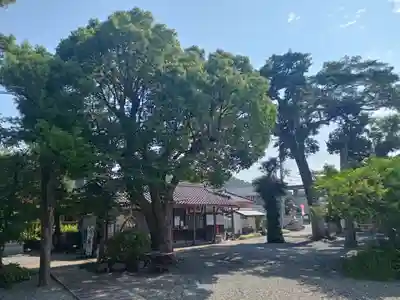 射箭頭八幡神社(和歌山県)