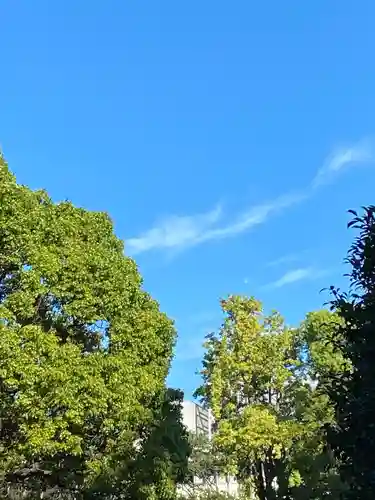 稲毛神社の景色