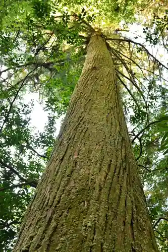 素鵞神社(愛媛県)