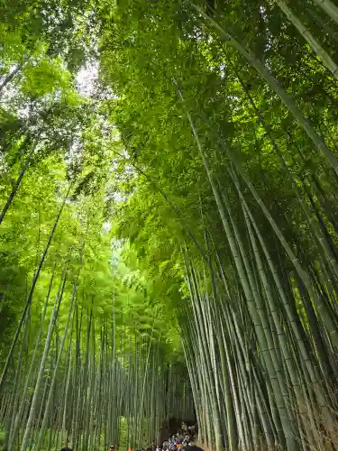 天龍寺(京都府)