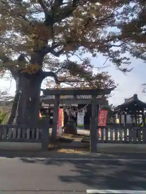 三ツ木神社(埼玉県)