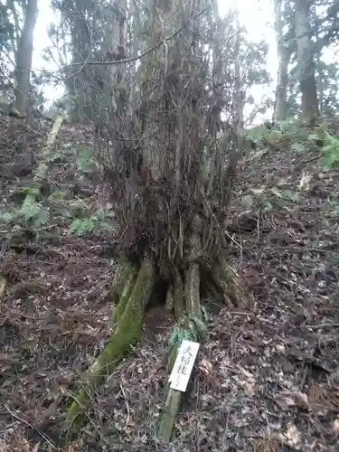 鶴形金刀比羅宮のその他建物