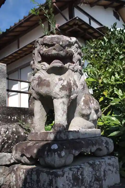 若宮八幡宮の狛犬