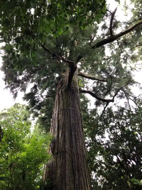 須佐神社の自然