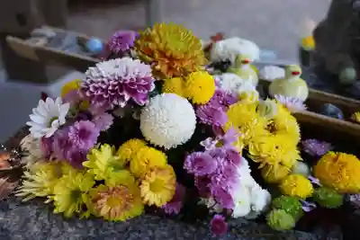 滑川神社 - 仕事と子どもの守り神の手水舎