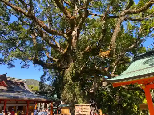 熊野那智大社(和歌山県)