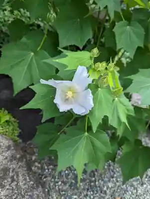 休務寺(京都府)