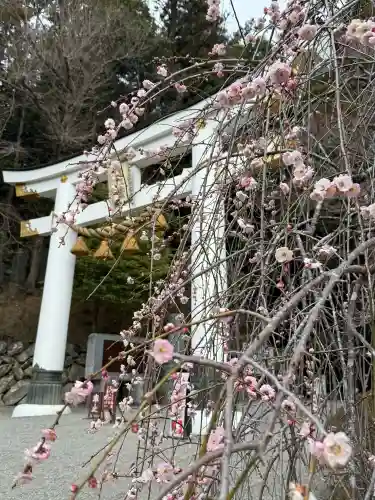 宝登山神社の{uncategorized: "未分類", other: "その他", undefined: "問題あり", building: "その他建物", grave: "お墓", sacred_gate: "鳥居", guardian: "狛犬", statue: "像", buddha: "仏像", history: "歴史", nature: "自然", garden: "庭園", animal: "動物", pagoda: "塔", temizu: "手水舎", mountain_gate: "山門・神門", sanctuary: "本殿・本堂", subordinate: "末社・摂社", art: "芸術", scenery: "景色", jizo: "地蔵", ema: "絵馬", goshuin: "御朱印", omikuji: "おみくじ", items: "授与品その他", amulet: "お守り", goshuincho: "御朱印帳", eats: "食事", festival: "お祭り", votive_dance: "神楽", shichigosan: "七五三参", wedding: "結婚式", experience: "体験その他", initially: "初詣", around: "周辺", anti_infection: "感染症対策"}