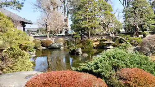 蓮花院(埼玉県)