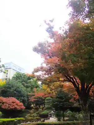伊勢山皇大神宮(神奈川県)