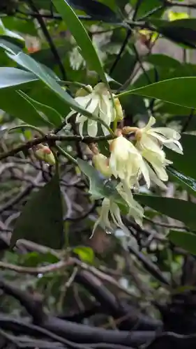 石山寺(滋賀県)