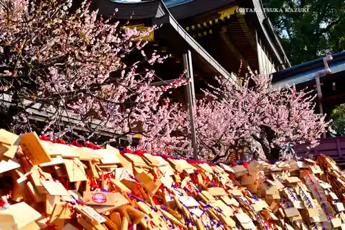 湯島天満宮(東京都)