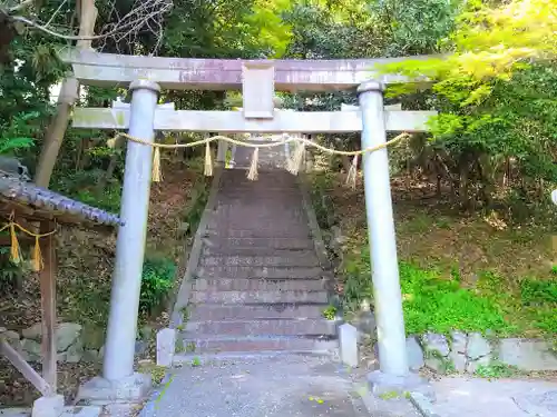 津島神社の鳥居