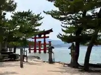 厳島神社(広島県)