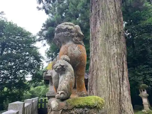 劒神社の狛犬