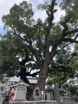 津田八幡神社(徳島県)