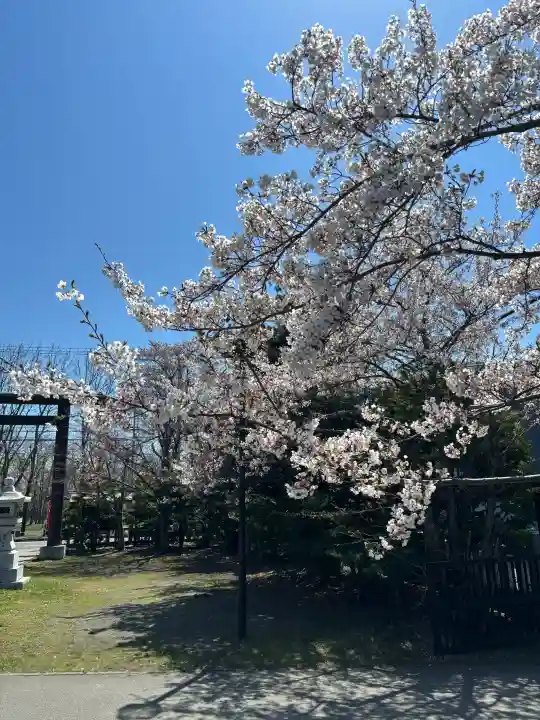 烈々布神社の{uncategorized: "未分類", other: "その他", undefined: "問題あり", building: "その他建物", grave: "お墓", sacred_gate: "鳥居", guardian: "狛犬", statue: "像", buddha: "仏像", history: "歴史", nature: "自然", garden: "庭園", animal: "動物", pagoda: "塔", temizu: "手水舎", mountain_gate: "山門・神門", sanctuary: "本殿・本堂", subordinate: "末社・摂社", art: "芸術", scenery: "景色", jizo: "地蔵", ema: "絵馬", goshuin: "御朱印", omikuji: "おみくじ", items: "授与品その他", amulet: "お守り", goshuincho: "御朱印帳", eats: "食事", festival: "お祭り", votive_dance: "神楽", shichigosan: "七五三参", wedding: "結婚式", experience: "体験その他", initially: "初詣", around: "周辺", anti_infection: "感染症対策"}