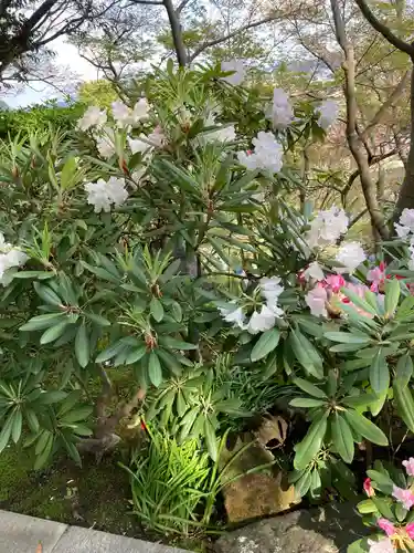 長谷寺の庭園