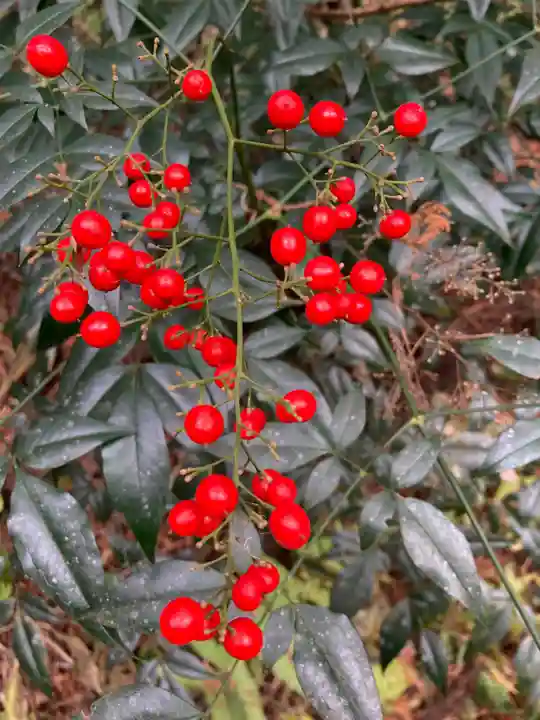青山神社(茨城県)