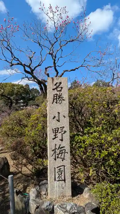 隨心院(随心院)(京都府)