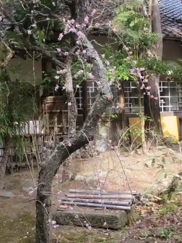 安國論寺（安国論寺）の自然