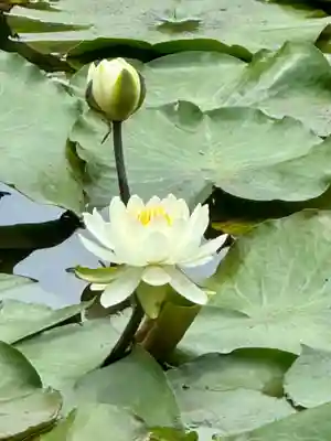 勧修寺(京都府)